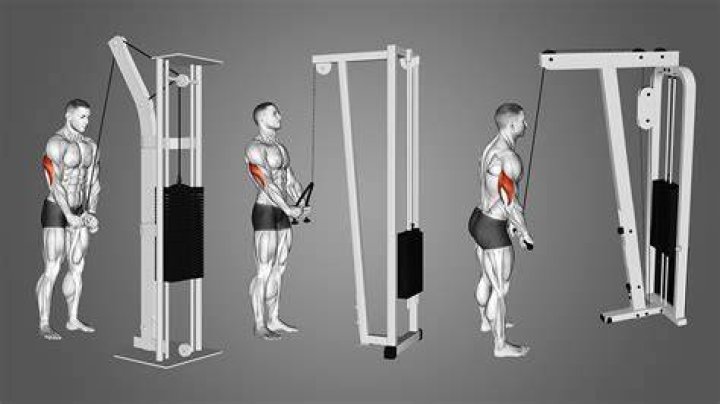 Are tricep pushdowns effective?