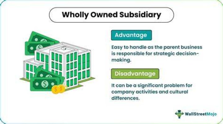 Can a wholly owned subsidiary be a small business?