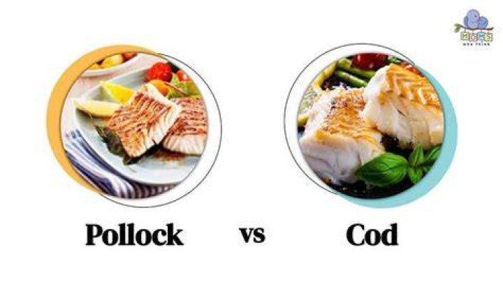 Do pollock and cod taste the same?