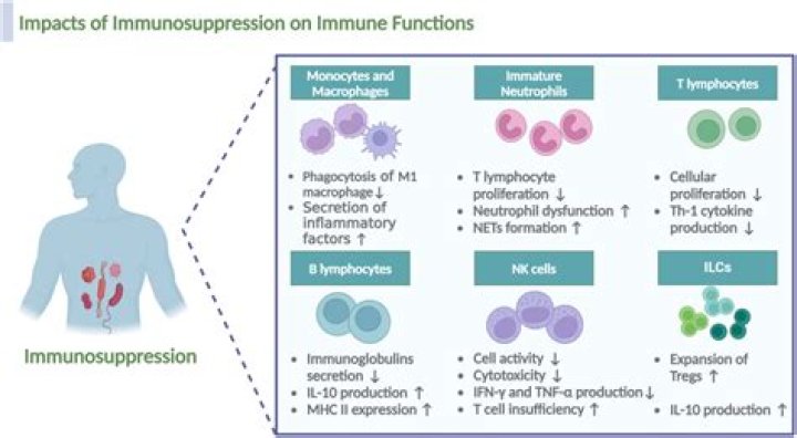 Does immunosuppressants cause cancer?