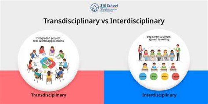 Does interdisciplinary team mean?