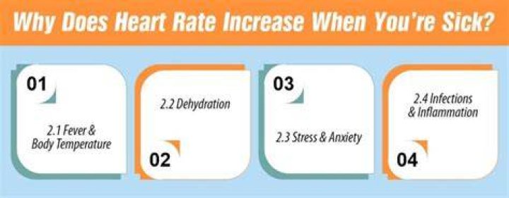 Does pulse rate increase in fever?
