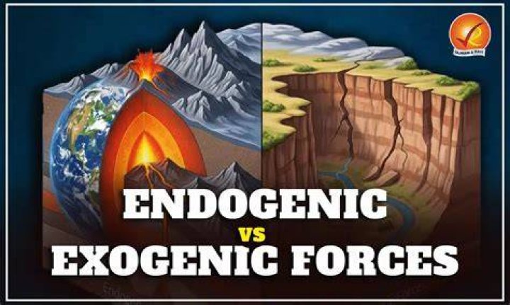 Is it exogenic or endogenic?