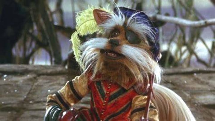 What does didymus mean?