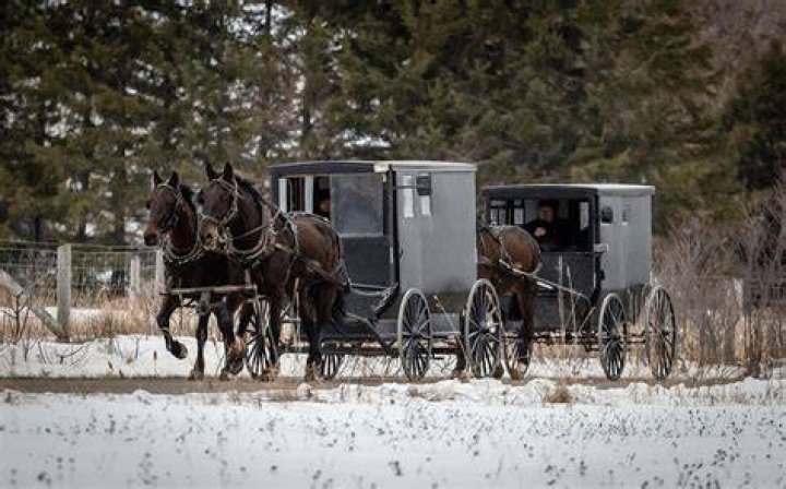 When did mennonites originate?