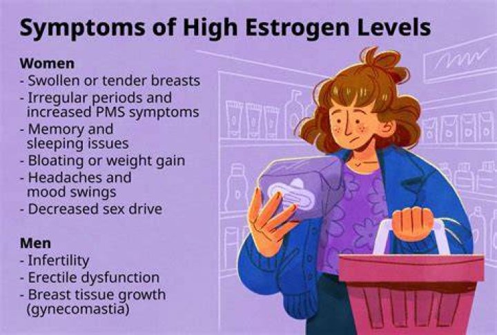 When estrogen levels are high?