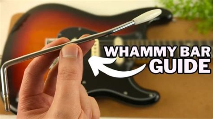 Why a whammy bar?
